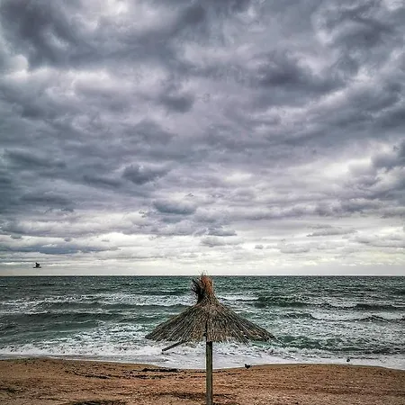 Fairytale Tiny House On The Beach